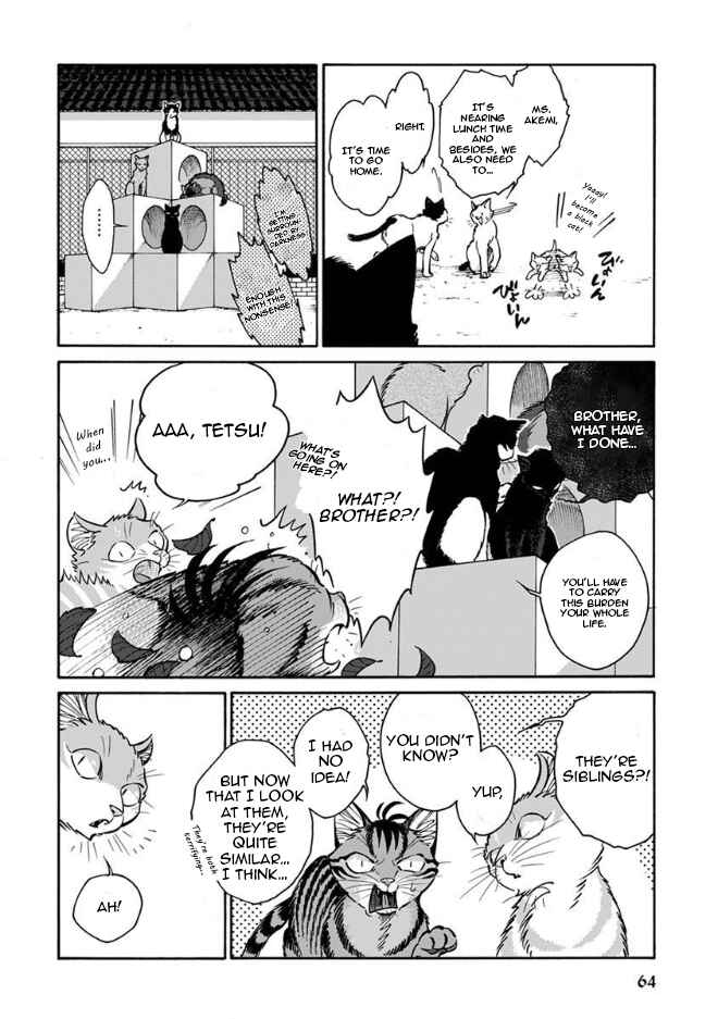 Page 14 Chapter 14 Rojiura Brothers