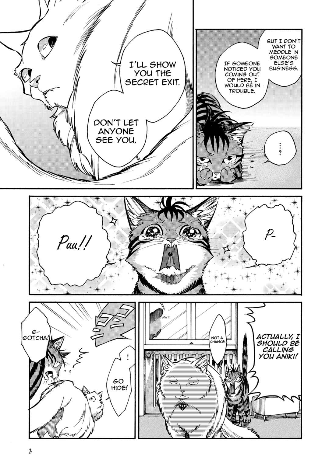 Page 3 Chapter 9 Rojiura Brothers
