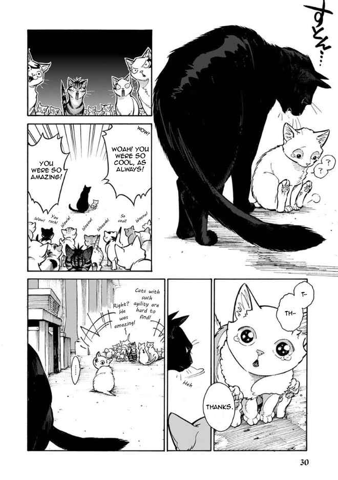 Page 13 Chapter 12 Rojiura Brothers