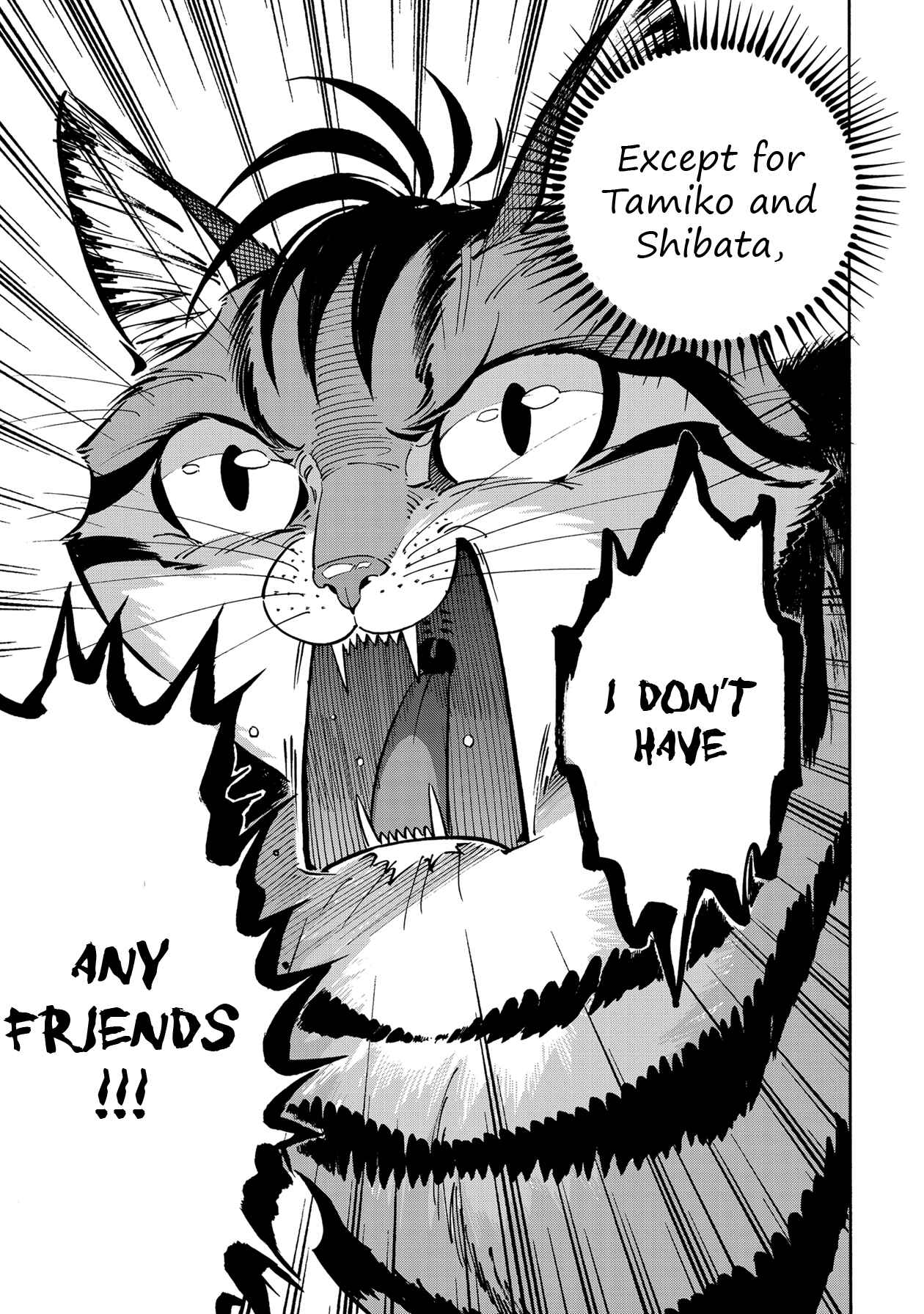 Page 7 Chapter 10 Rojiura Brothers