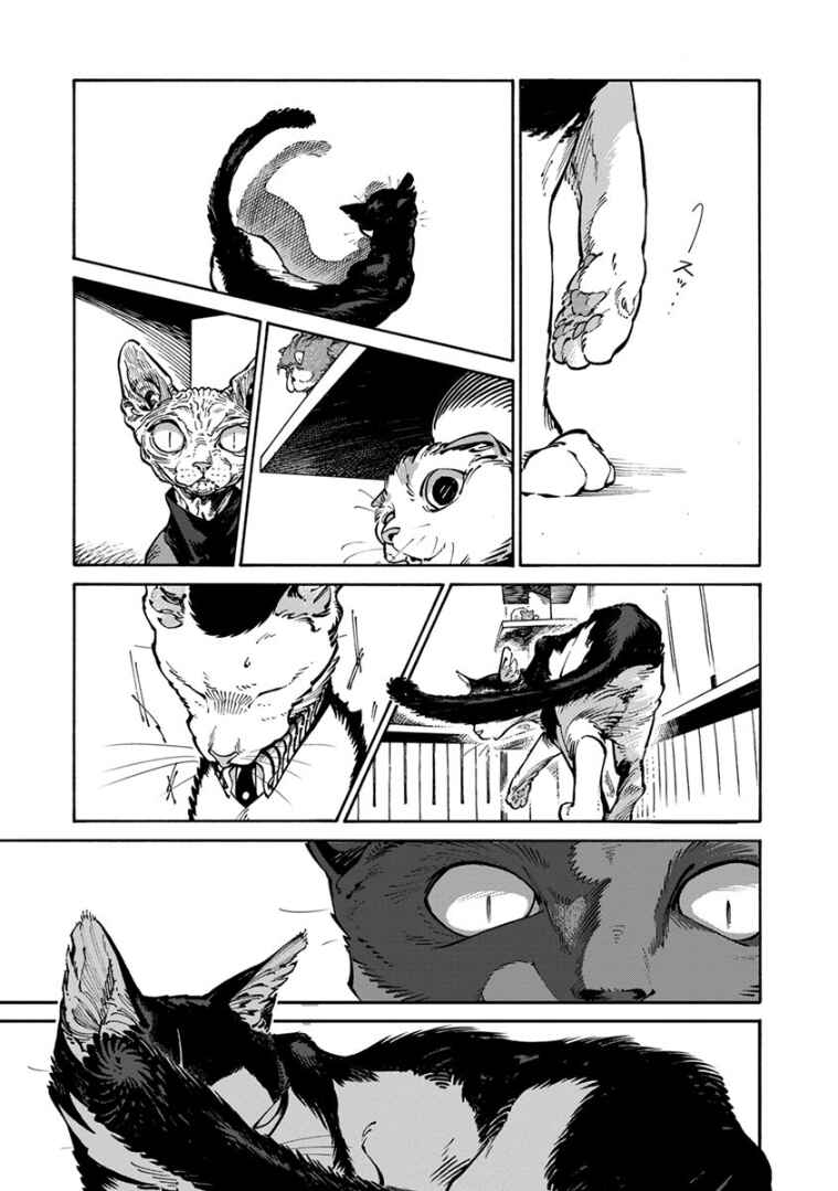 Page 9 Chapter 28 Rojiura Brothers
