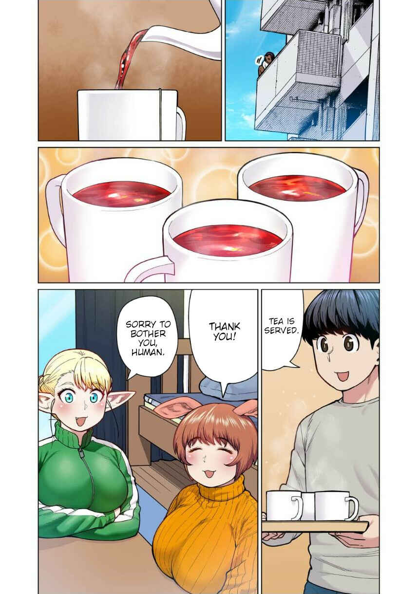 Page 2 Chapter 5 Shin Elf-san wa Yaserarenai. (Official Colored)