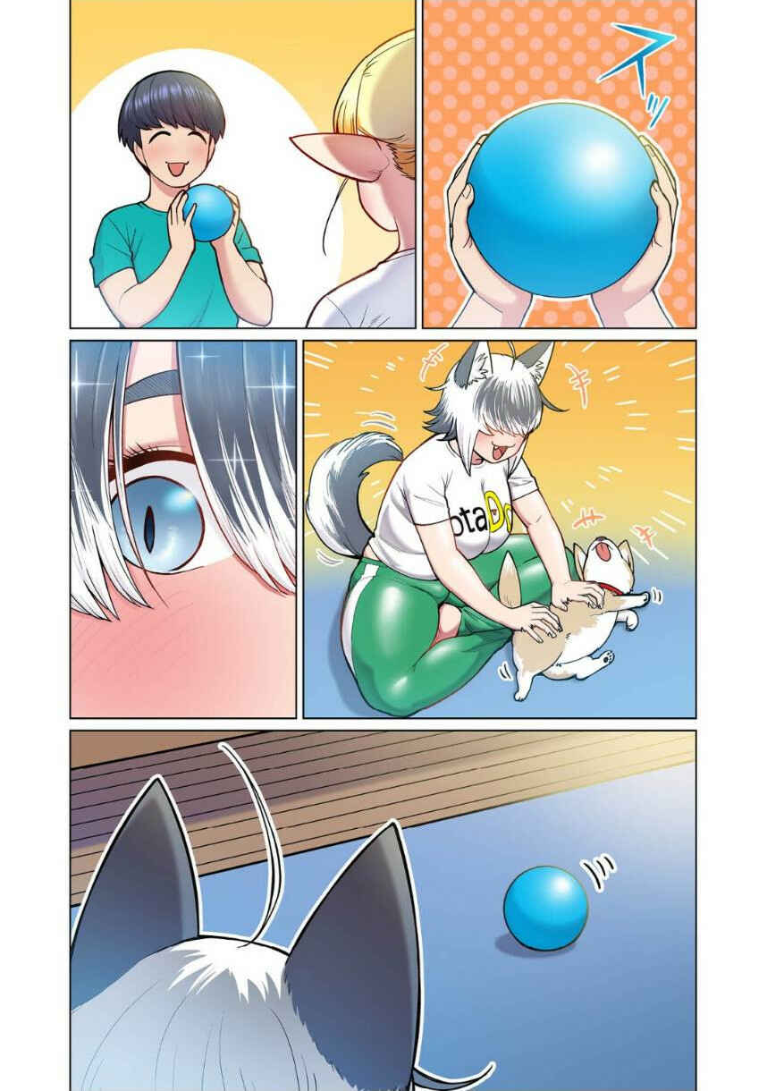 Page 11 Chapter 4 Shin Elf-san wa Yaserarenai. (Official Colored)