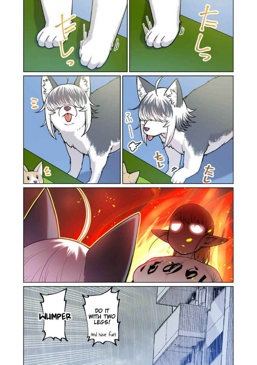 Page 19 Chapter 4 Shin Elf-san wa Yaserarenai. (Official Colored)