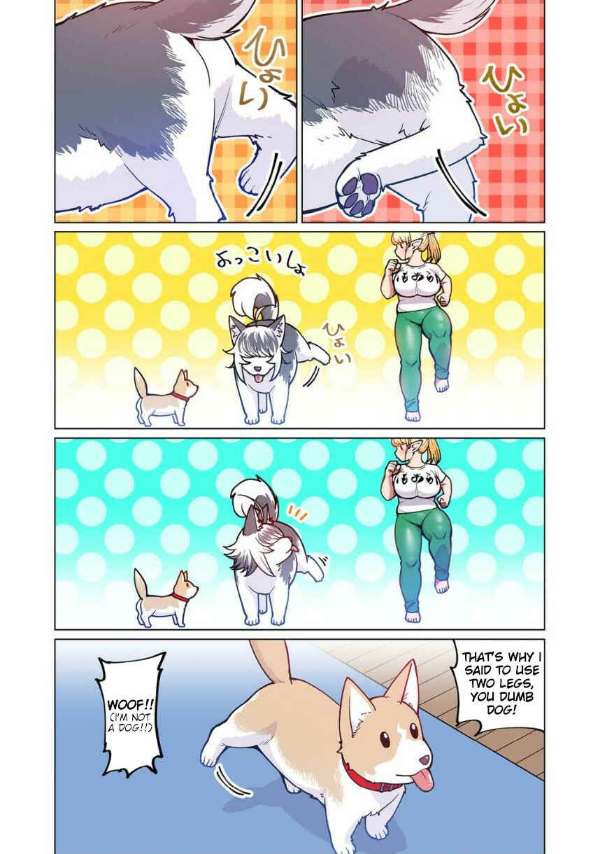 Page 23 Chapter 4 Shin Elf-san wa Yaserarenai. (Official Colored)