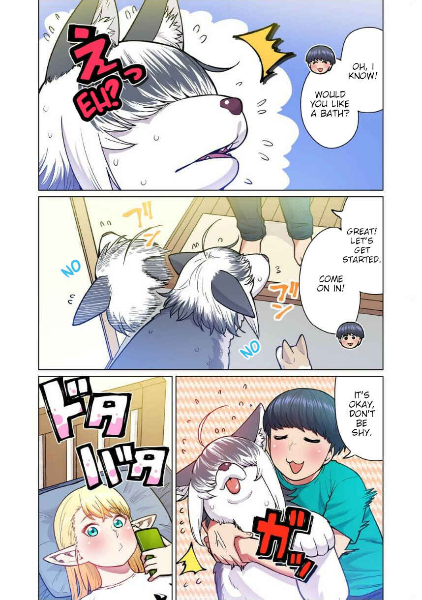 Page 6 Chapter 4 Shin Elf-san wa Yaserarenai. (Official Colored)