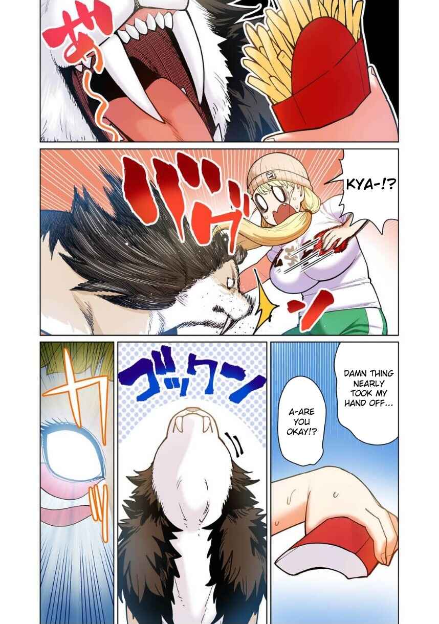 Page 16 Chapter 7 Shin Elf-san wa Yaserarenai. (Official Colored)