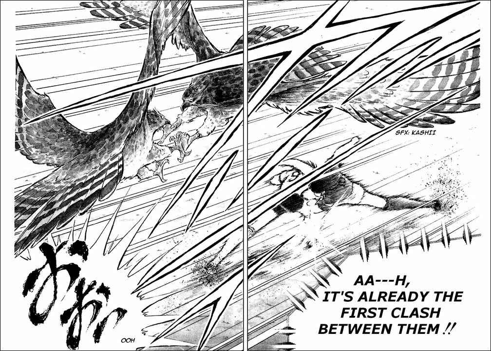 Page 15 Chapter 55 Captain Tsubasa
