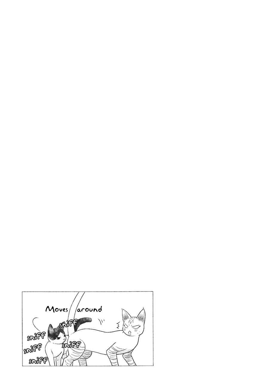 Page 8 Chapter 21.5 Nekoka Danshi no Shitsukekata