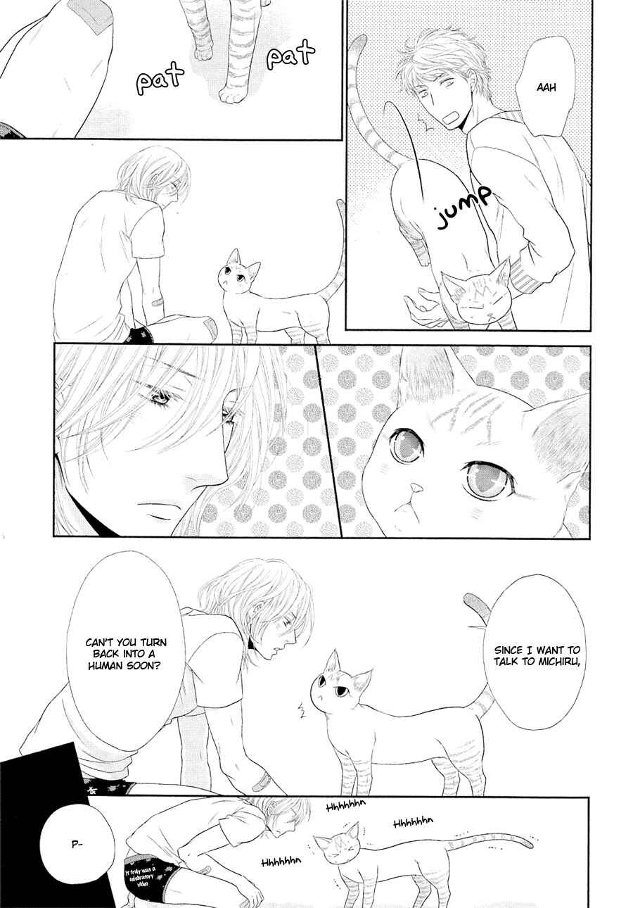 Page 37 Chapter 21 Nekoka Danshi no Shitsukekata