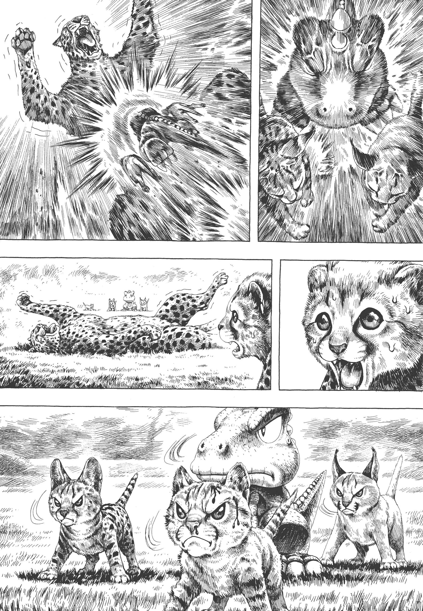 Page 10 Chapter 4 GON Selection