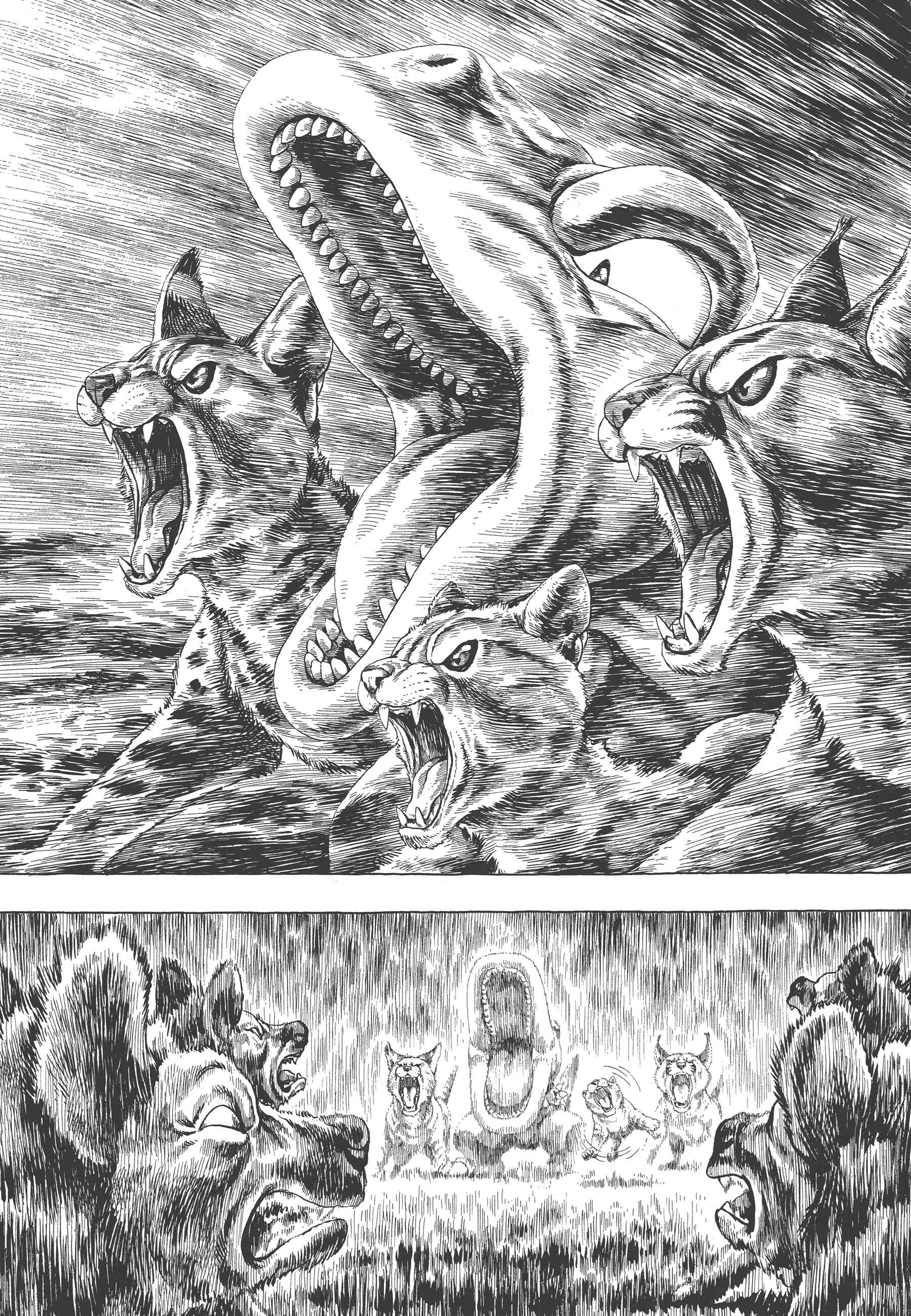 Page 25 Chapter 4 GON Selection