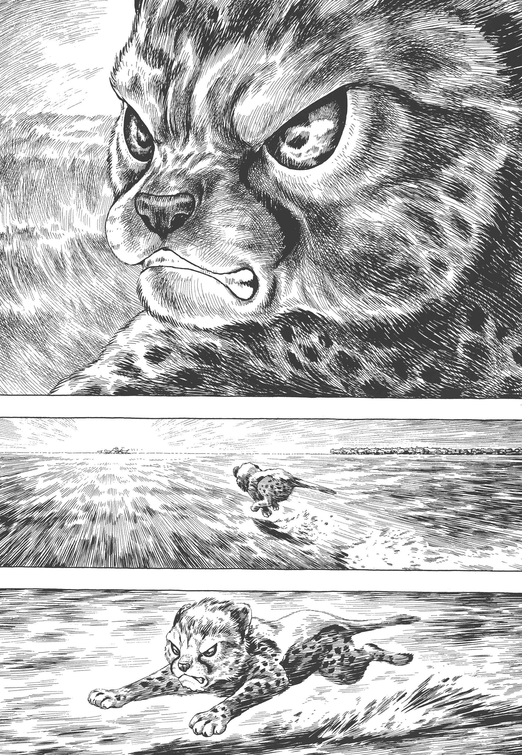Page 29 Chapter 4 GON Selection