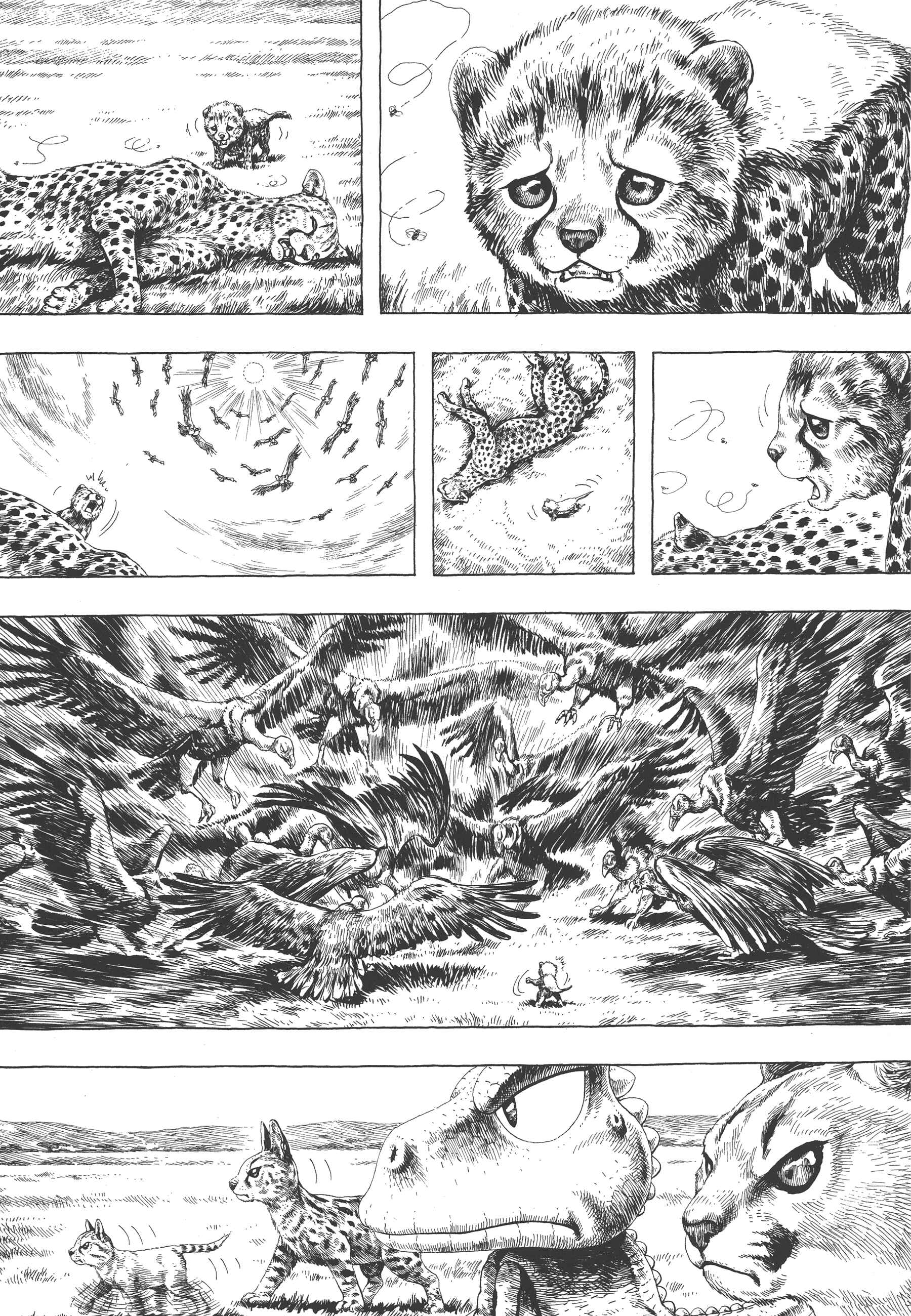 Page 4 Chapter 4 GON Selection