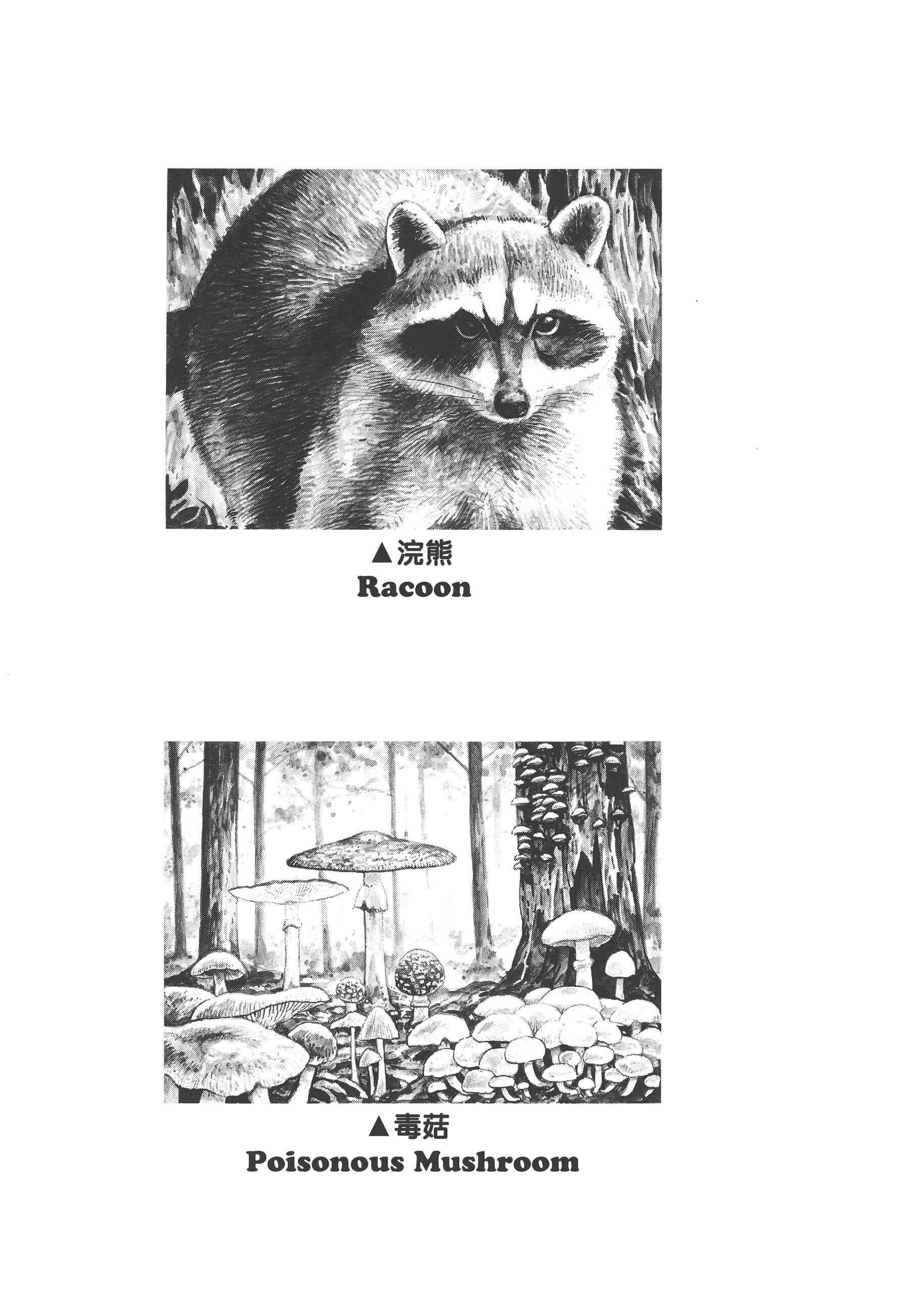 Page 31 Chapter 2 GON Selection