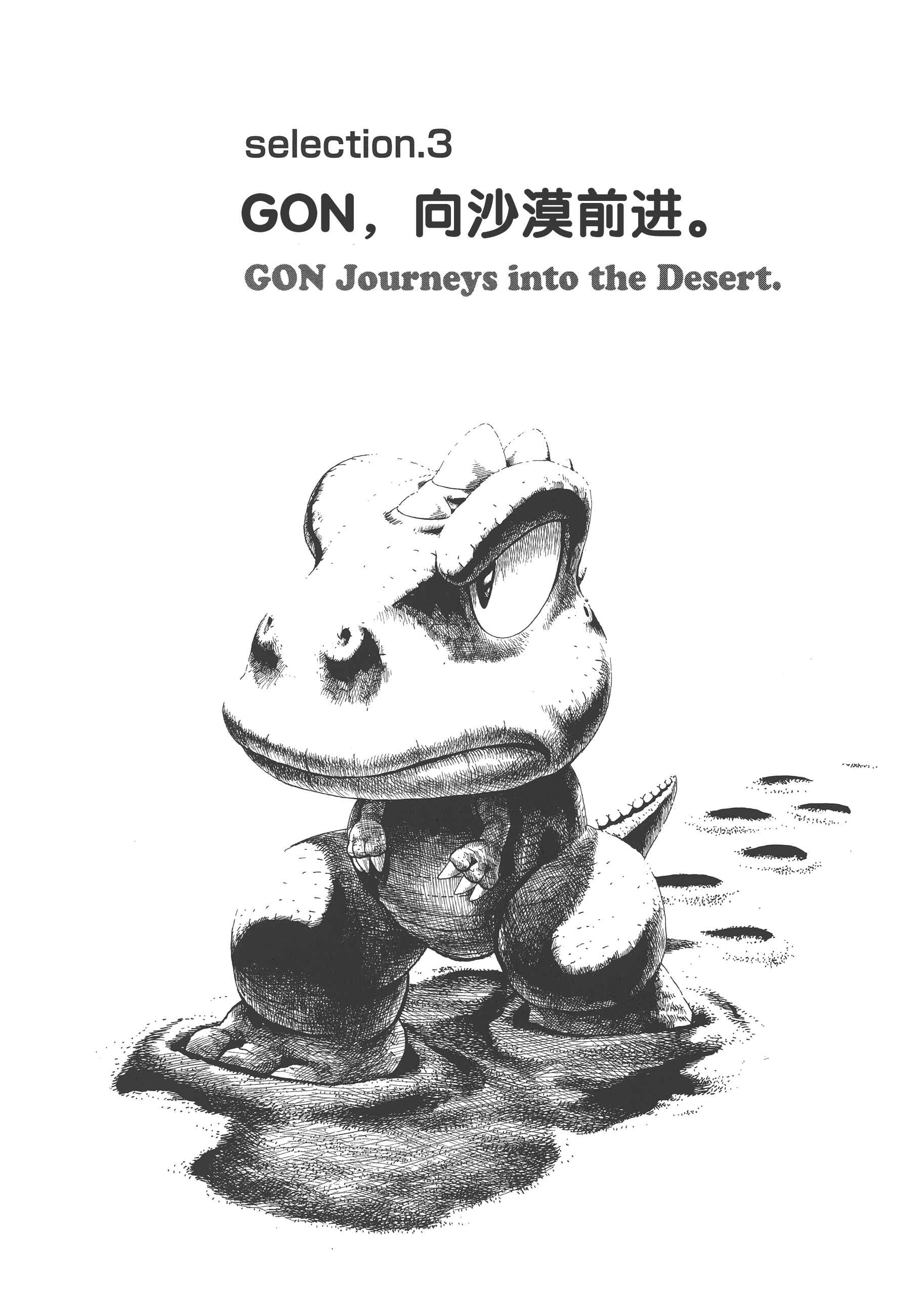 Page 1 Chapter 3 GON Selection
