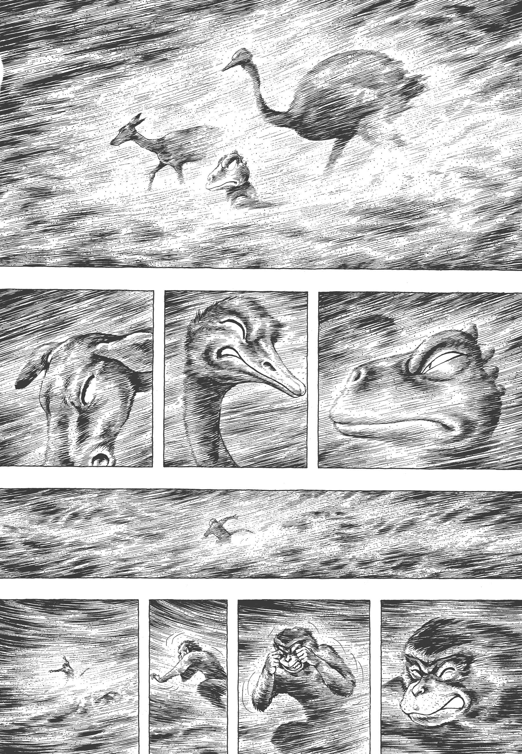 Page 18 Chapter 3 GON Selection