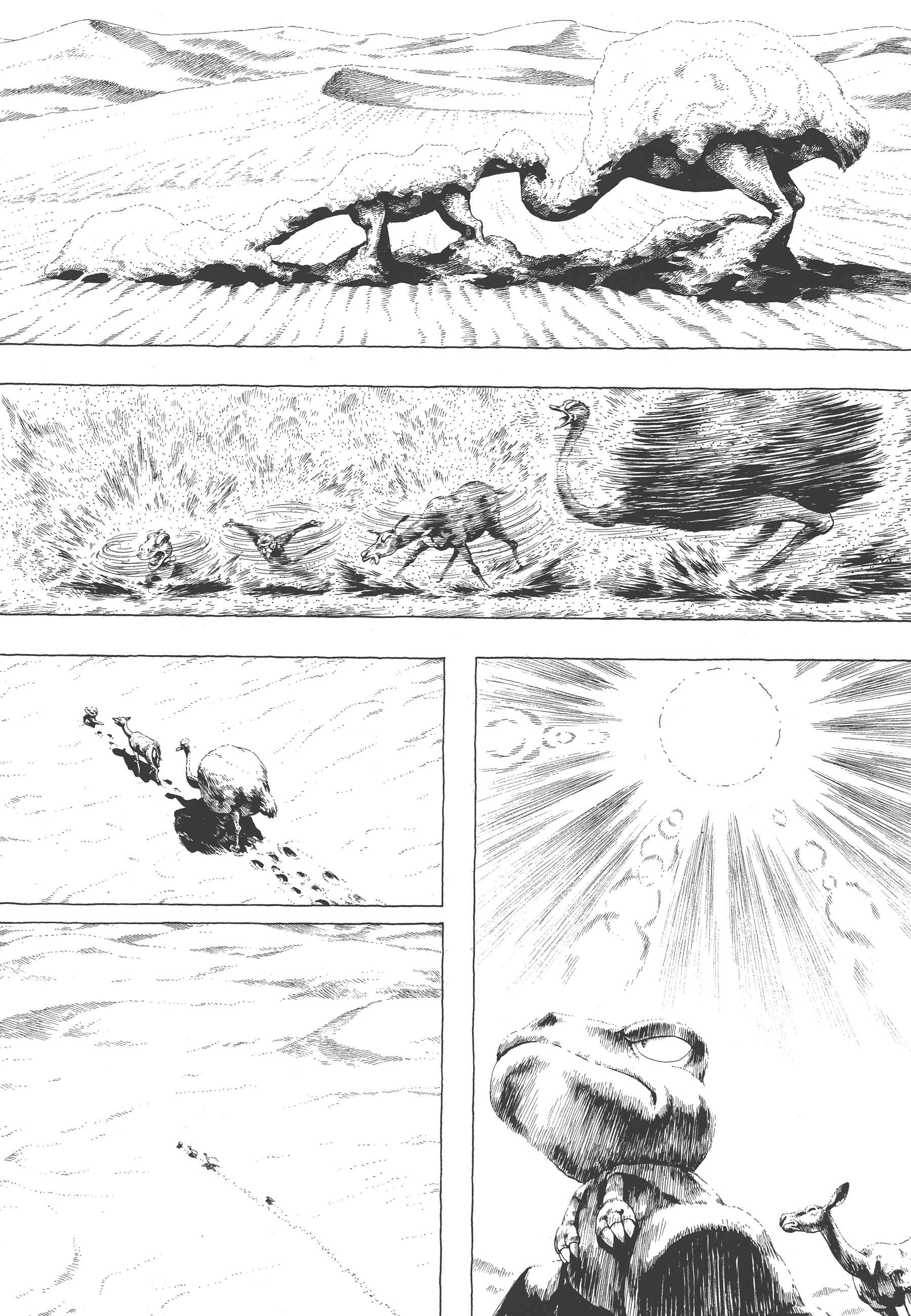 Page 20 Chapter 3 GON Selection