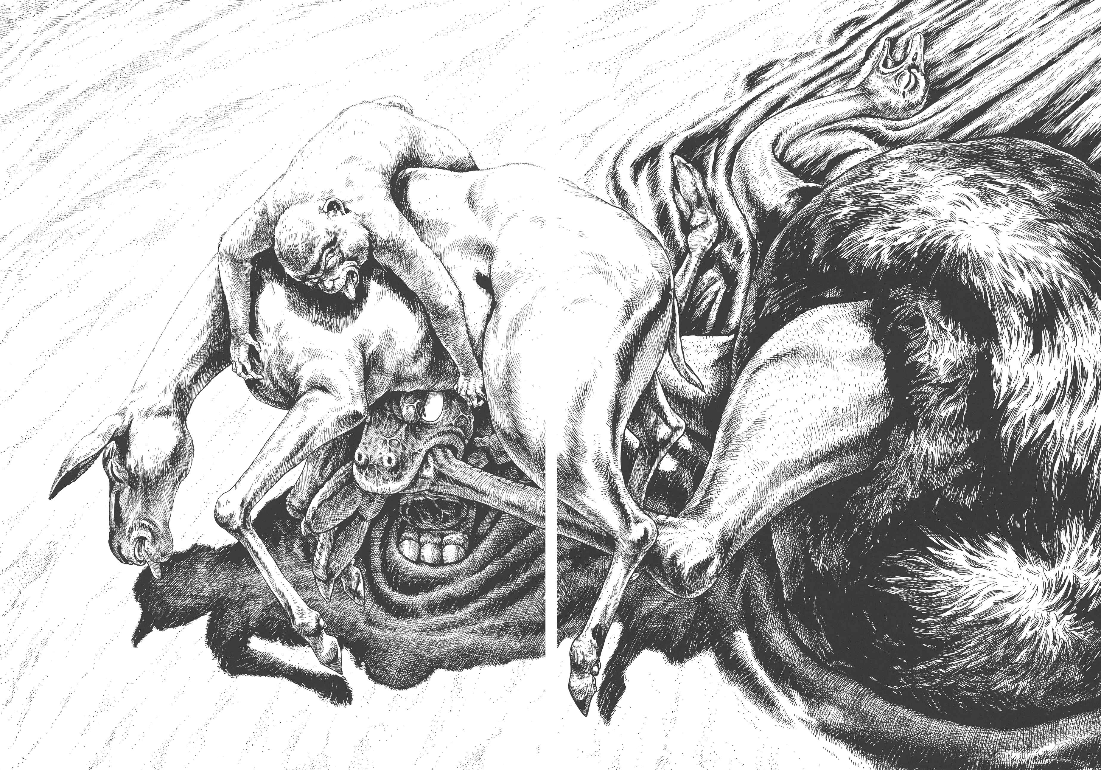 Page 27 Chapter 3 GON Selection