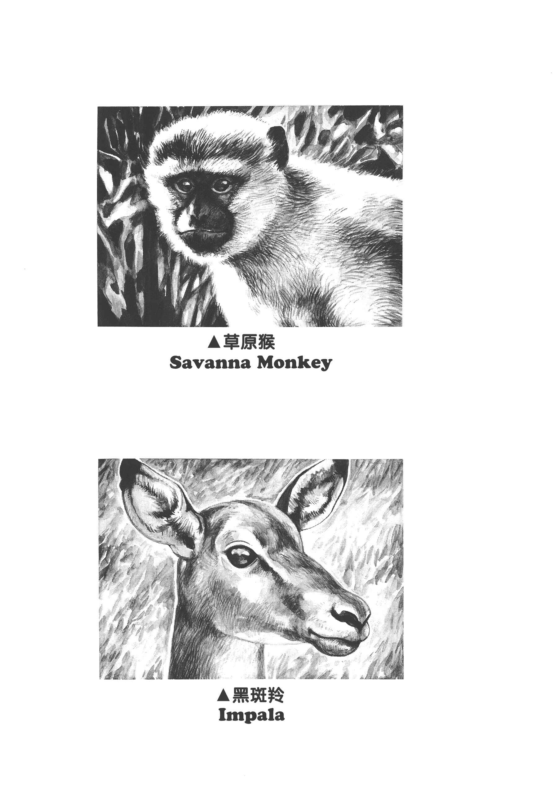 Page 32 Chapter 3 GON Selection