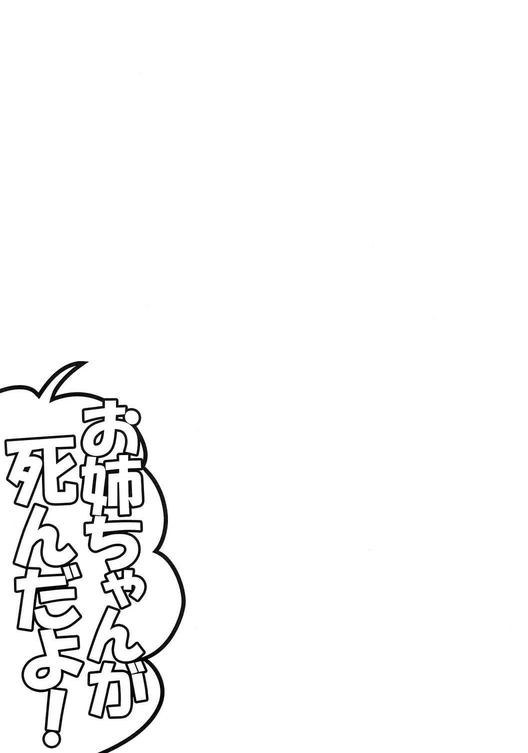 Page 14 Chapter Unknown_0be8 Touhou - Onee-chan Has Died (Doujinshi)