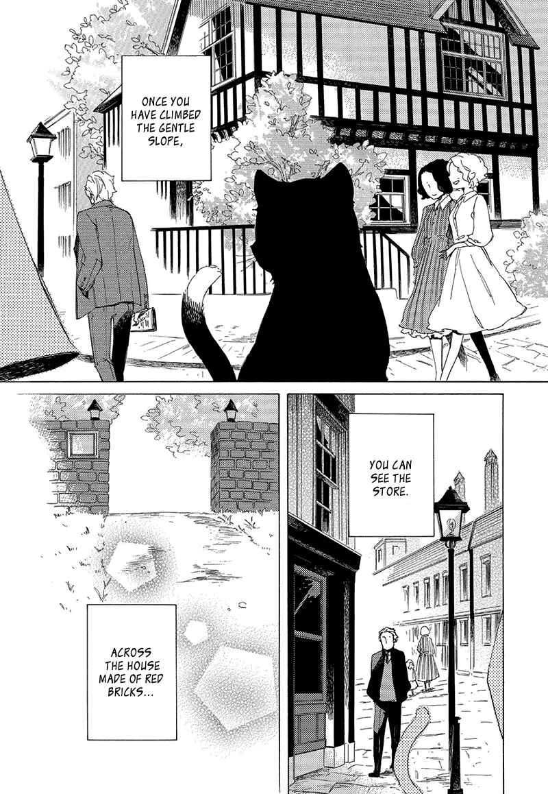 Page 1 Chapter 6 The Antique Cat Shop
