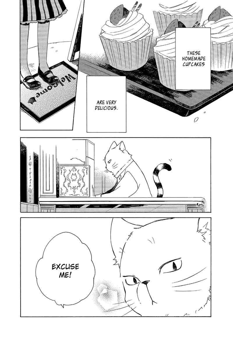 Page 6 Chapter 6 The Antique Cat Shop