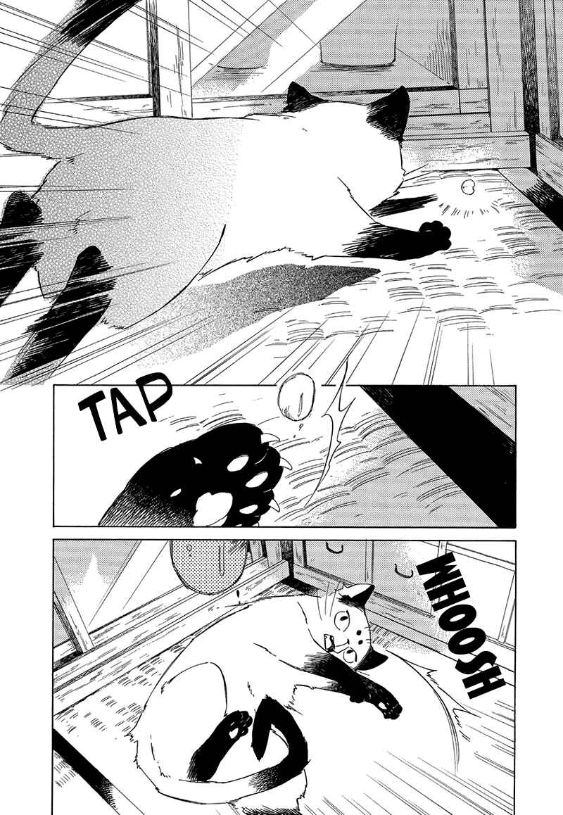 Page 3 Chapter 3.5 The Antique Cat Shop