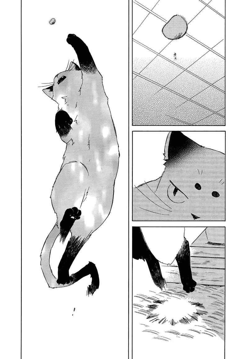 Page 4 Chapter 3.5 The Antique Cat Shop