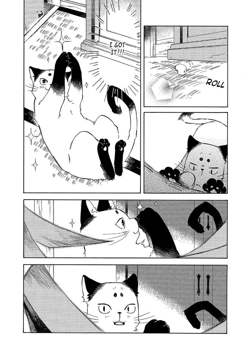 Page 7 Chapter 3.5 The Antique Cat Shop