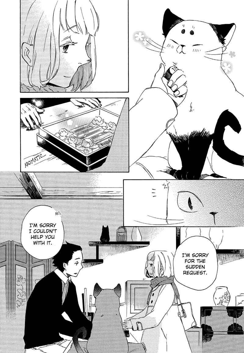 Page 11 Chapter 3 The Antique Cat Shop