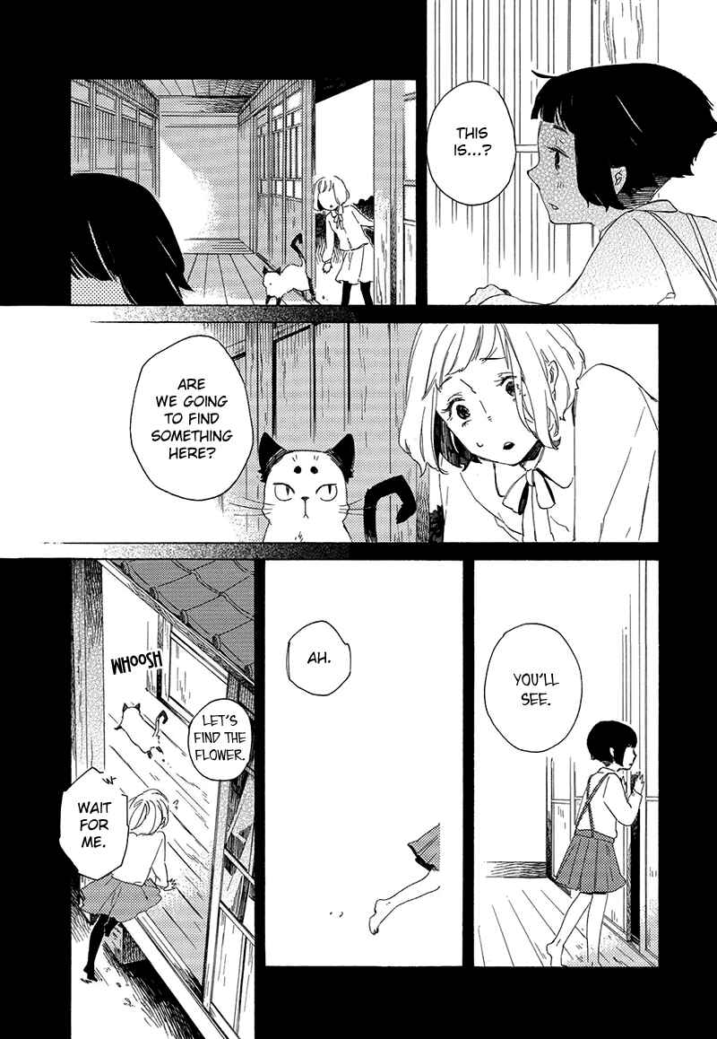 Page 25 Chapter 3 The Antique Cat Shop