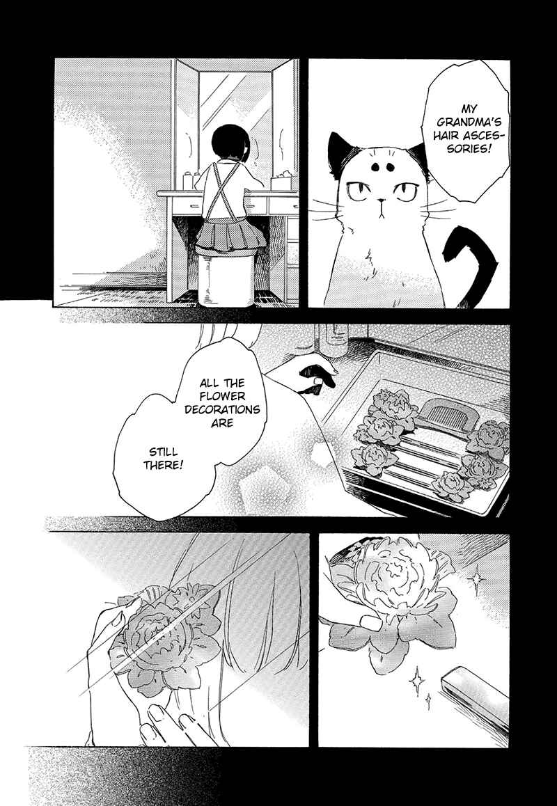 Page 27 Chapter 3 The Antique Cat Shop