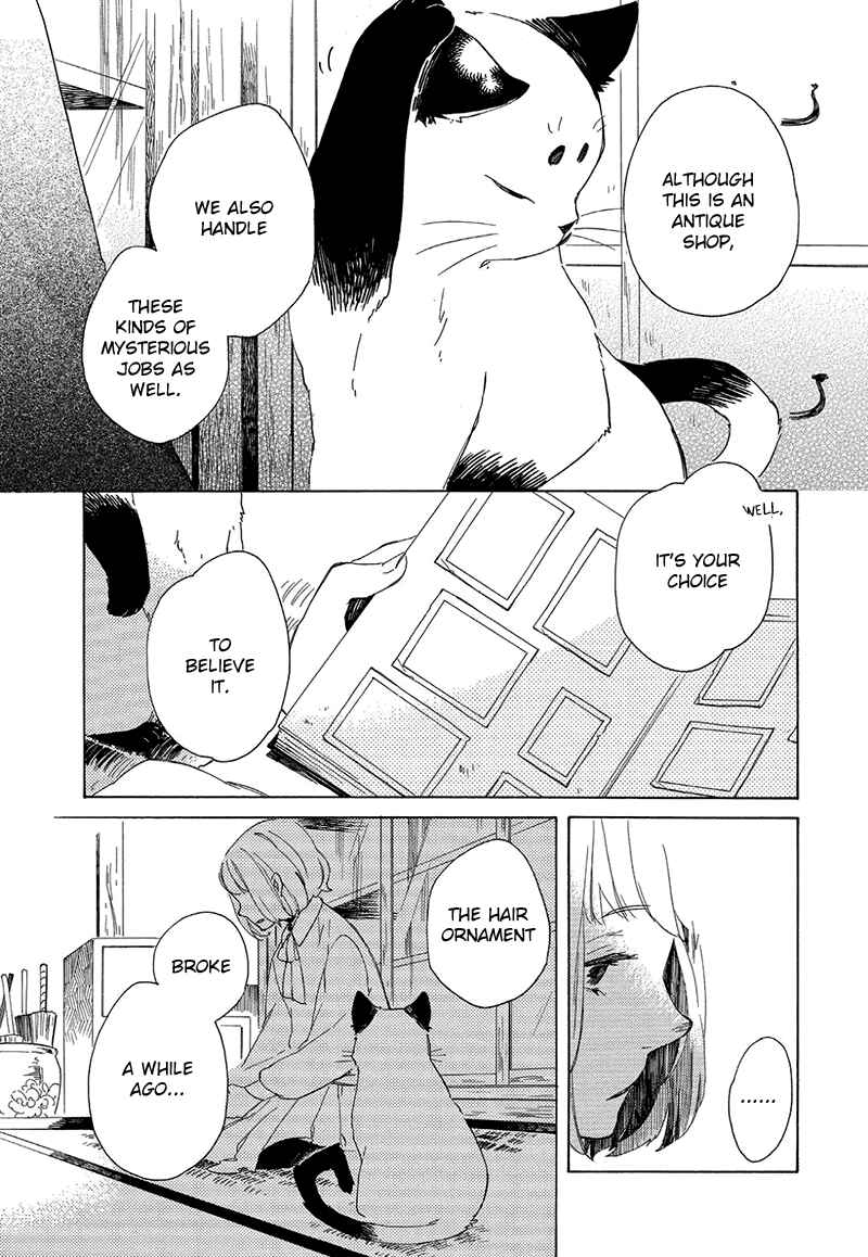 Page 35 Chapter 3 The Antique Cat Shop
