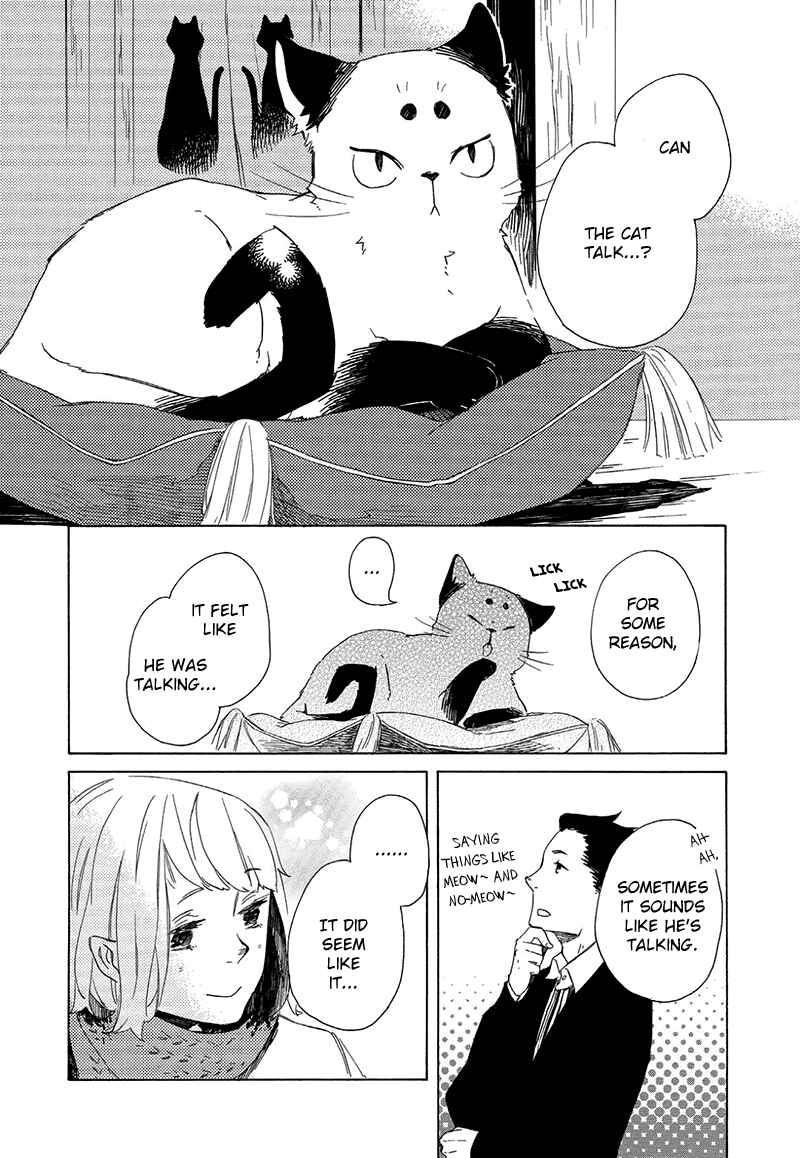 Page 38 Chapter 3 The Antique Cat Shop