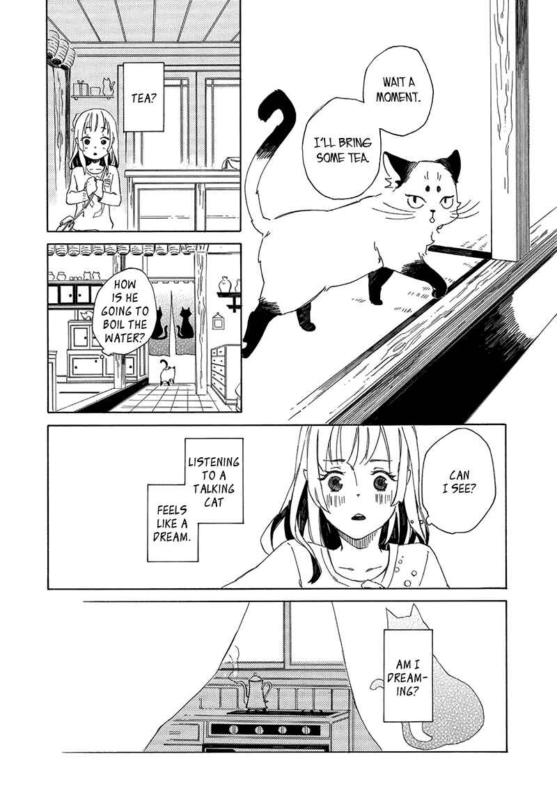 Page 12 Chapter 2 The Antique Cat Shop