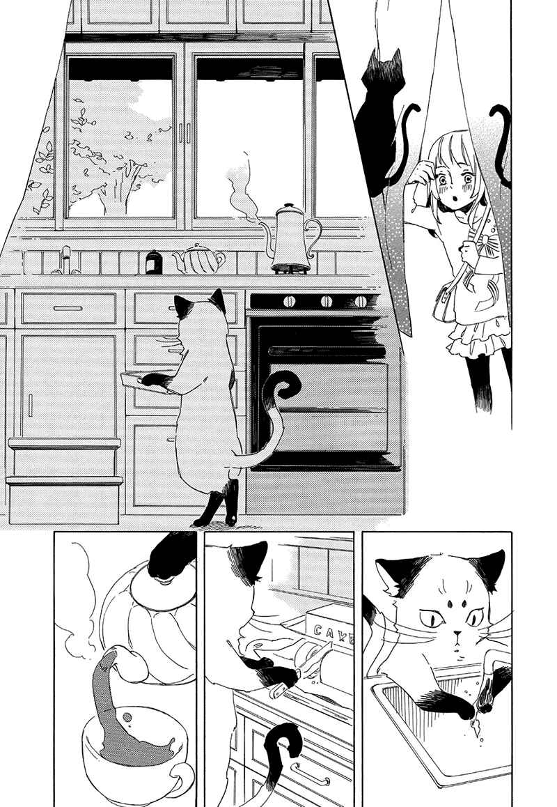 Page 13 Chapter 2 The Antique Cat Shop