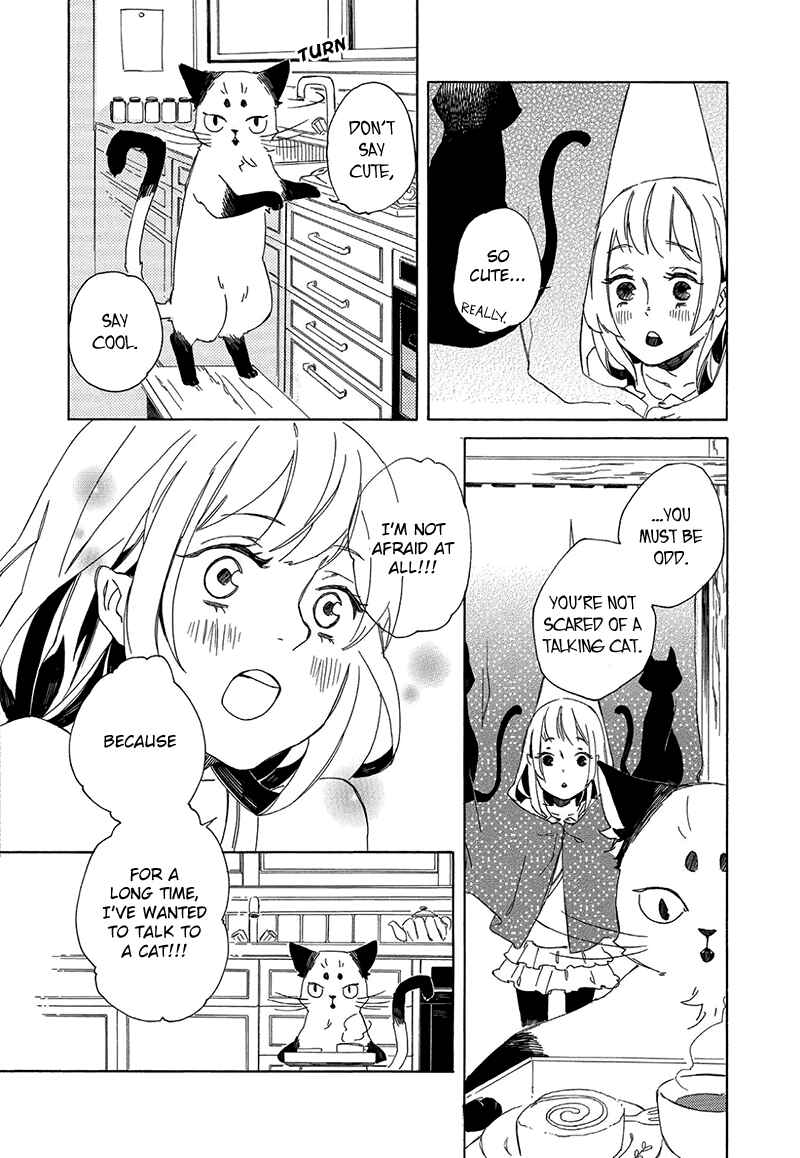 Page 14 Chapter 2 The Antique Cat Shop