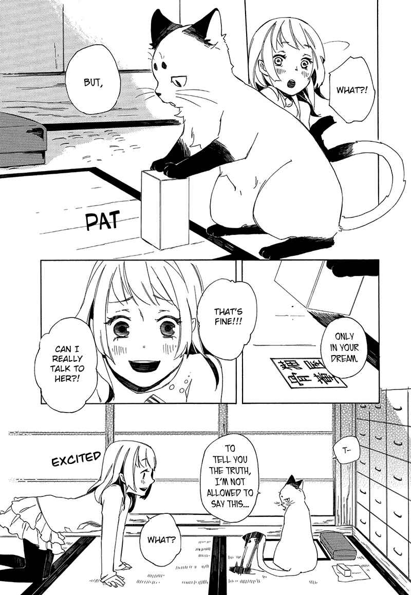 Page 19 Chapter 2 The Antique Cat Shop