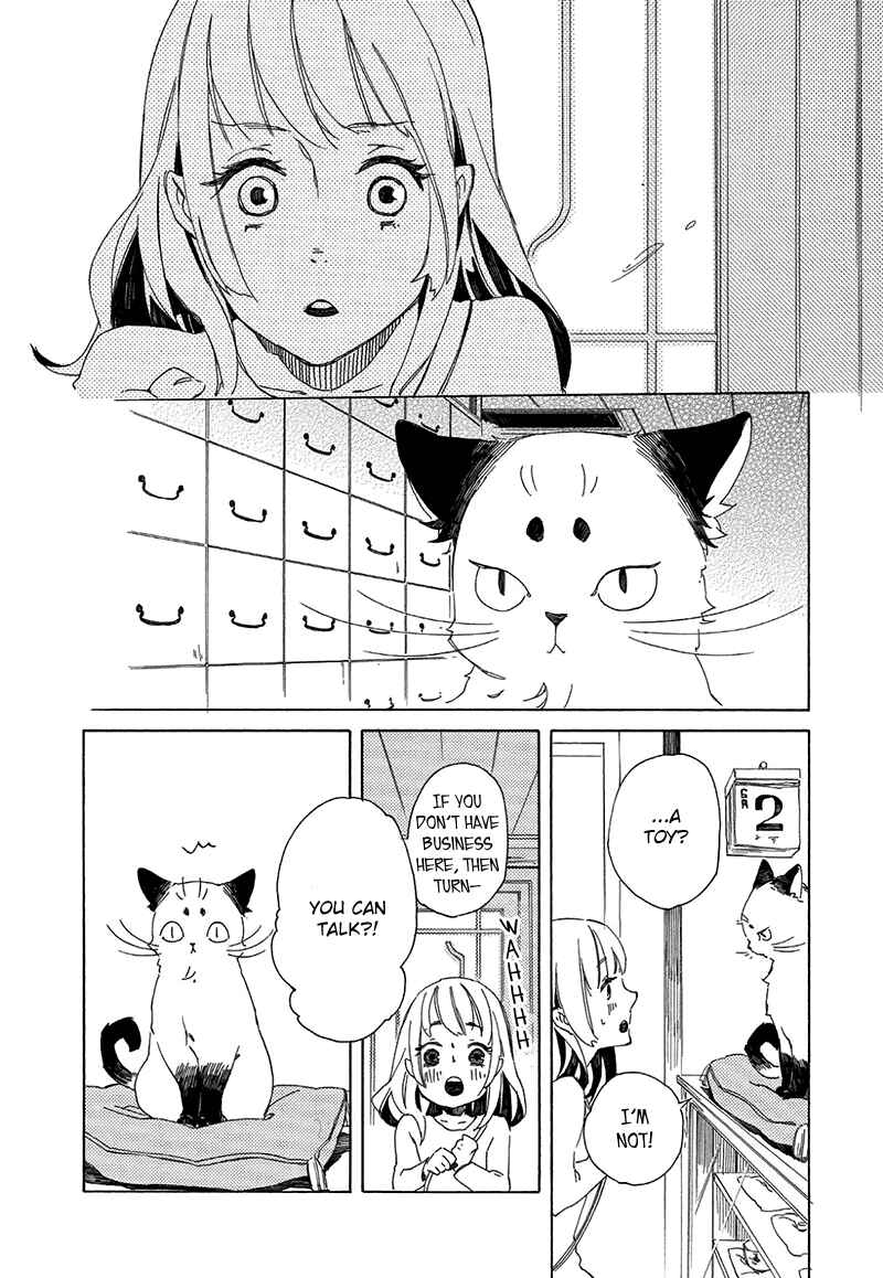Page 9 Chapter 2 The Antique Cat Shop