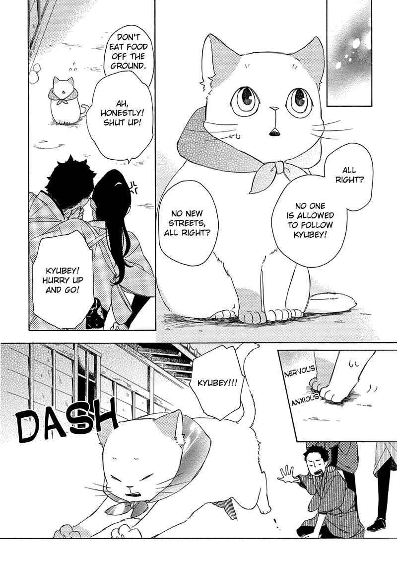 Page 10 Chapter 5 The Antique Cat Shop