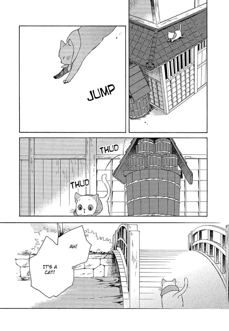 Page 14 Chapter 5 The Antique Cat Shop