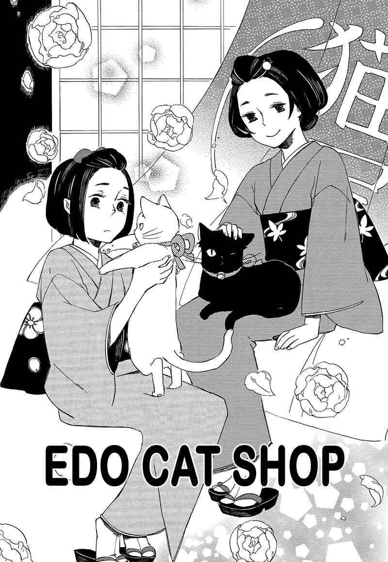 Page 1 Chapter 4 The Antique Cat Shop