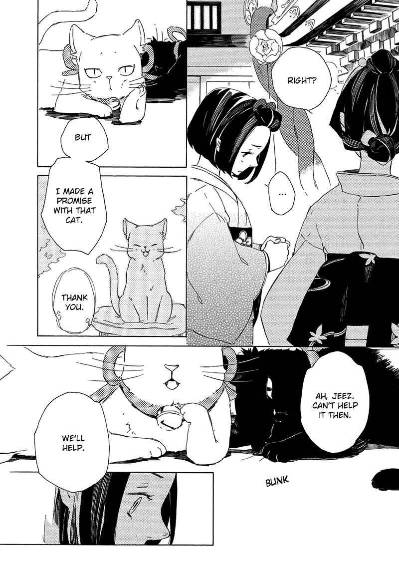 Page 17 Chapter 4 The Antique Cat Shop
