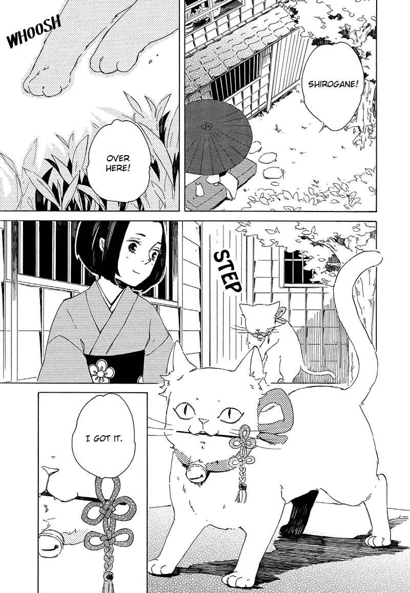Page 5 Chapter 4 The Antique Cat Shop