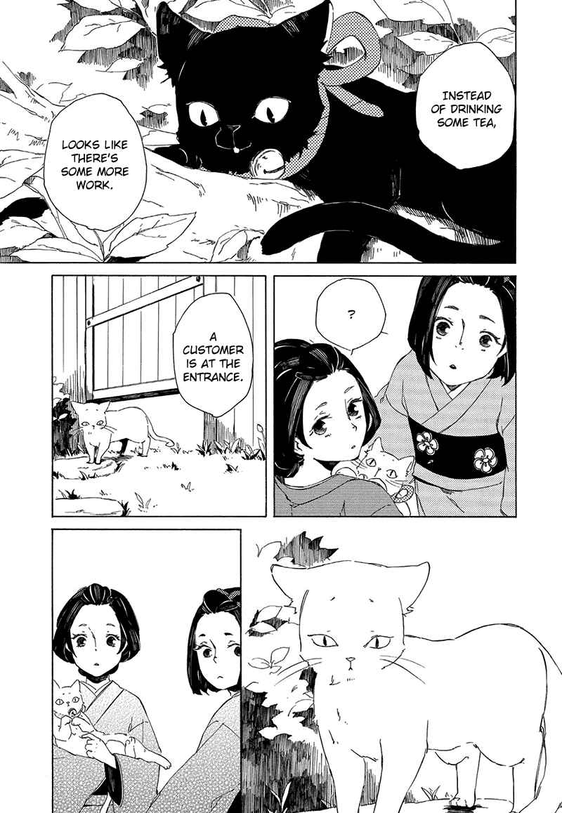 Page 9 Chapter 4 The Antique Cat Shop