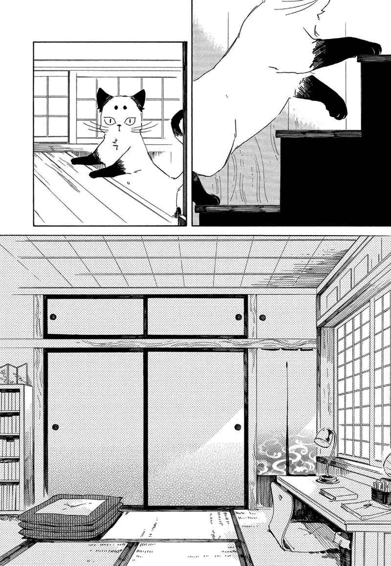 Page 4 Chapter 1.5 The Antique Cat Shop