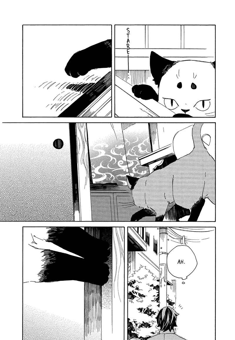 Page 5 Chapter 1.5 The Antique Cat Shop