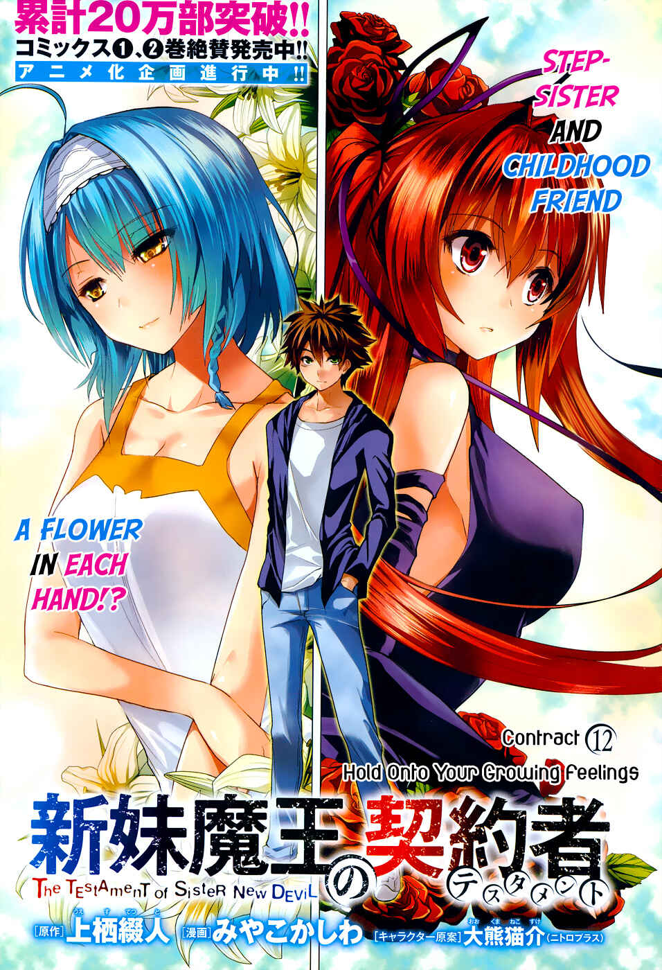 Page 3 Chapter 12 Shinmai Maou no Testament