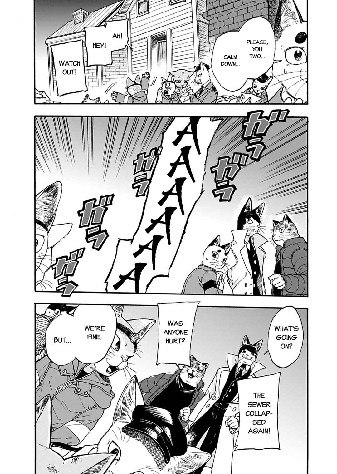 Page 7 Chapter 4 Buddy Cat